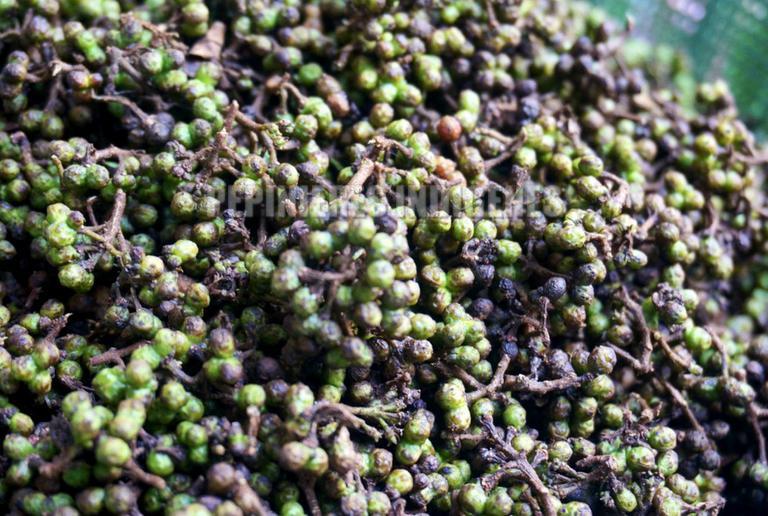 baies poivre sichuan shansho